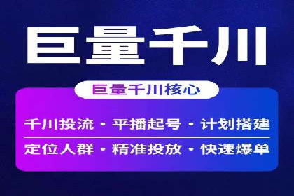 竞价推广实战：成功案例背后的技巧揭秘